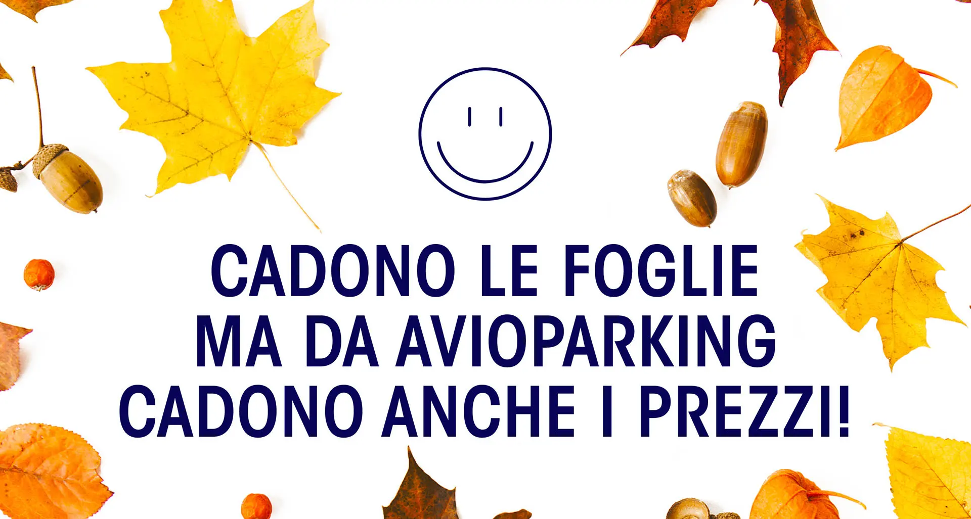 JESENSKI POPUST 🍂 Popust 23%