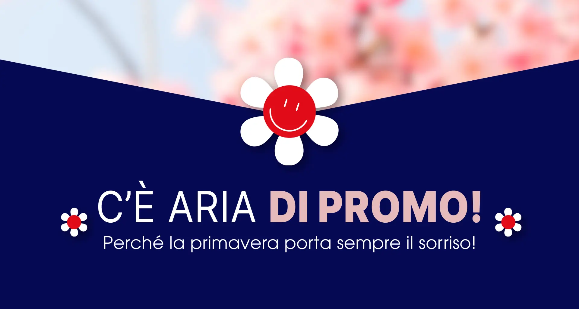 POMLAD PROMOCIJA ✨  -20%